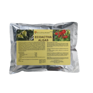 Ecoactiva Alga
