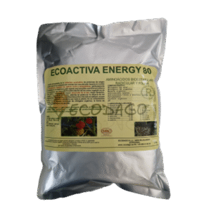 Ecoactiva energy 80